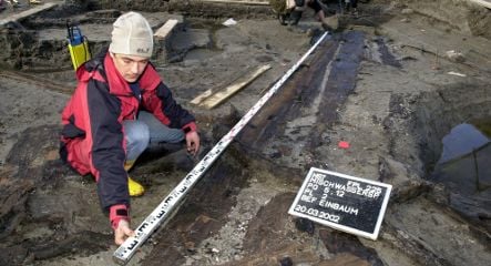 Archaeology office lets 7,000-year-old boats rot away