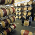Wine industry rebels hit out against own promotion institute