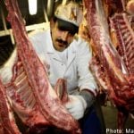 Muslim group: ‘Make halal slaughter legal’