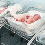 Sweden’s baby boom hits new high
