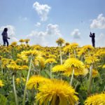 Summery spring spoils Germany with sunshine