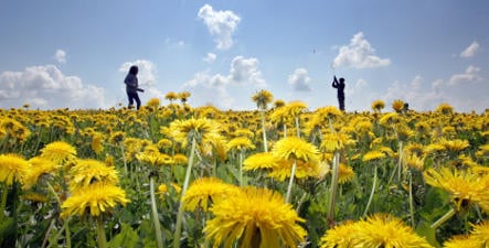 Summery spring spoils Germany with sunshine