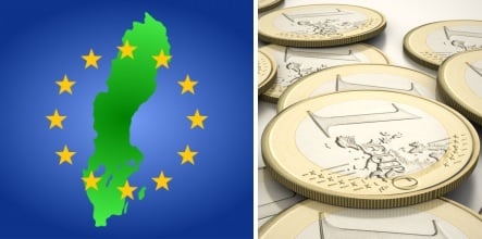 Most Swedes favour new vote on the euro