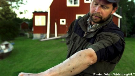 Sweden takes up annual mosquito battle