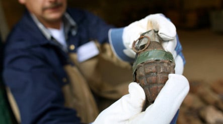 Dog fetches live WWII grenade
