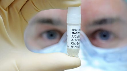 WHO warns swine flu to infect 1/3 of Germany
