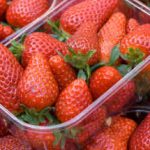 Agency steps up efforts to unmask strawberry cheats