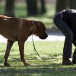 Pensioner fined for tear gas assault over dog poo