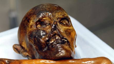 Alpine hikers get finder's fee for Stone Age mummy Ötzi