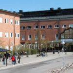 Swine flu infection threatens Swede’s life