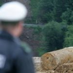 Unstable WWII bomb detonated in Hannover