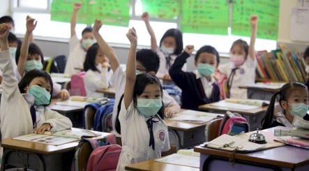 Expert advises longer school holidays to fight swine flu