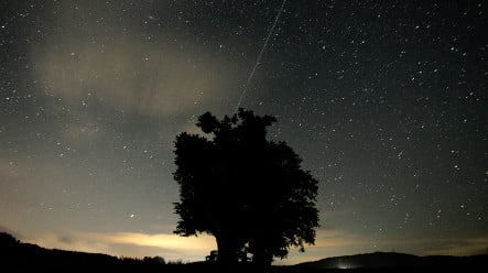 Shooting stars set to light up night sky