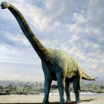 German scientists discover a new type of dinosaur in Niger