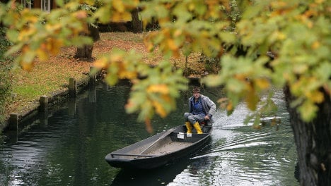 Escaping Berlin: Autumn colours from a Spreewald canoe