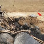 Train work uncovers Bronze Age bounty