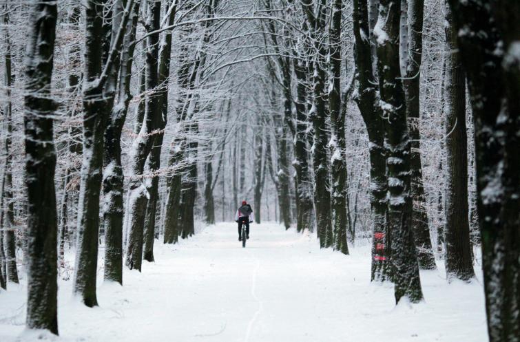 Man cycles through snowy  Niendorfer Gehege in Hamburg.Photo: DPA
