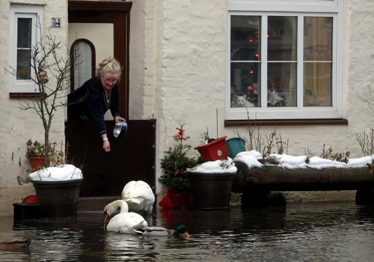 Resident feeds swans outside her front door in the historic quarter of Lübeck.Photo: DPA