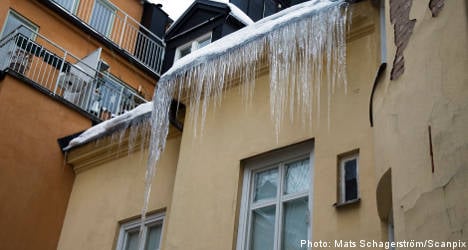 Icicle gunned down in eastern Sweden