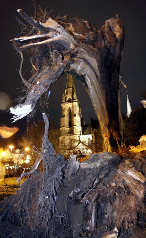 The result was uprooted trees in many places, like near this church in Marburg's city centre. Photo: DPA