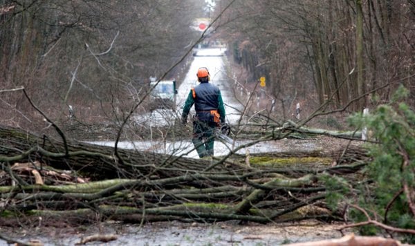 More cleanup near Darmstadt.Photo: DPA