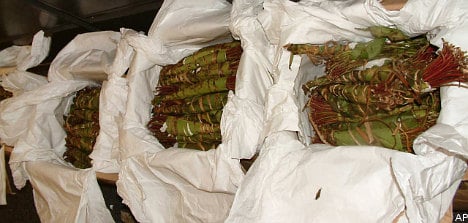 Government calls for action on khat use