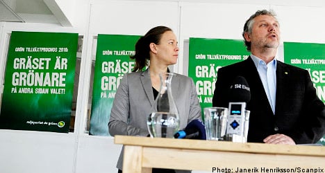 Green Party lays out election platform