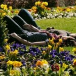 Sunny spring weather expected for the weekend