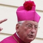 Pope accepts Mixa’s resignation