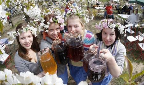 Beyond Oktoberfest: A guide to German beer and wine festivals