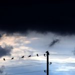 Storm warnings issued as mercury climbs