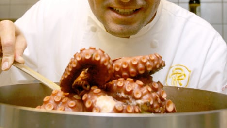 Paul the octopus gets suspicious citizenship offer from Spain