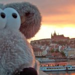 Cologne woman hits plush pay dirt with tours for teddy bears