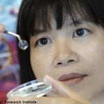 Synthetic corneas restore sight: Swedish study