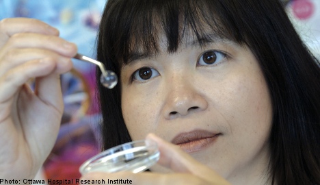Synthetic corneas restore sight: Swedish study