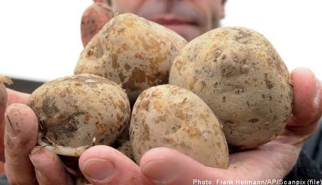 BASF learns cause of Swedish potato mix-up