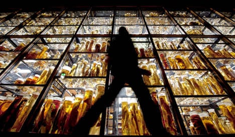 Berlin’s Natural History museum celebrates 200th jubilee
