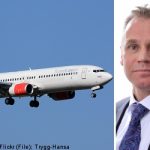 SAS picks Swede to take over as new CEO
