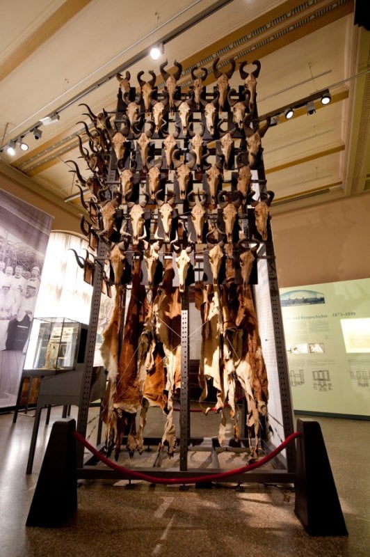 Here African hunting trophies show the excess of specimen collection at one point in history.Photo: DPA