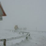 Snowstorm buries Harz Mountains