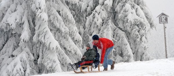Sledgers taking time to enjoy the recent snowfall in the Thuringian Forest. Photo: DPA