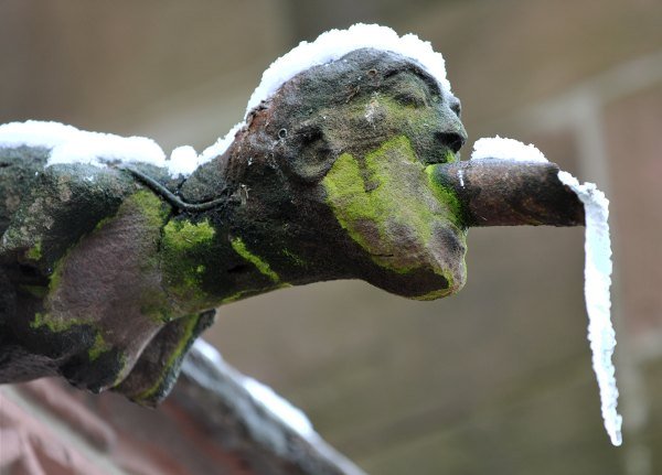A frozen gargoyle on the cathedral in the town of Freiburg, Baden-Württemberg.Photo: DPA