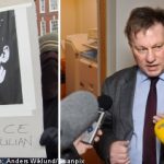 Assange rape claims not part of WikiLeaks: lawyer