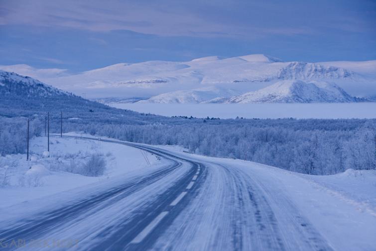 Swedish winter wonderland, January 2011Photo: Gabi E. Reichert