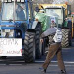 Thousands protest industrial agriculture during Green Week