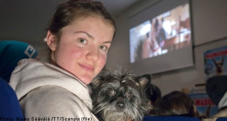 Sweden opens first-ever cinema for dogs