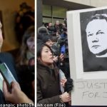 Assange lawyer under investigation in Sweden