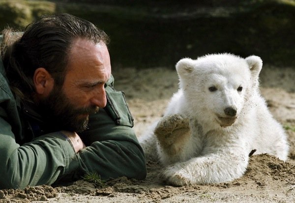 Knut was reared by his keeper Thomas Dörflein, who bottle-fed him and strummed Elvis Presley songs for the cub on his guitar. Dörflein died at age 44 of a heart attack in 2008.Photo: DPA