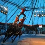 Shots fired as rival circus clans brawl in double booking row