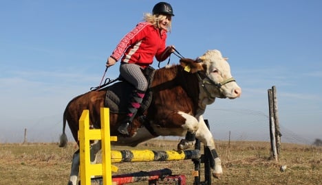 Bavarian cowgirl udderly over the moon about leaping Luna